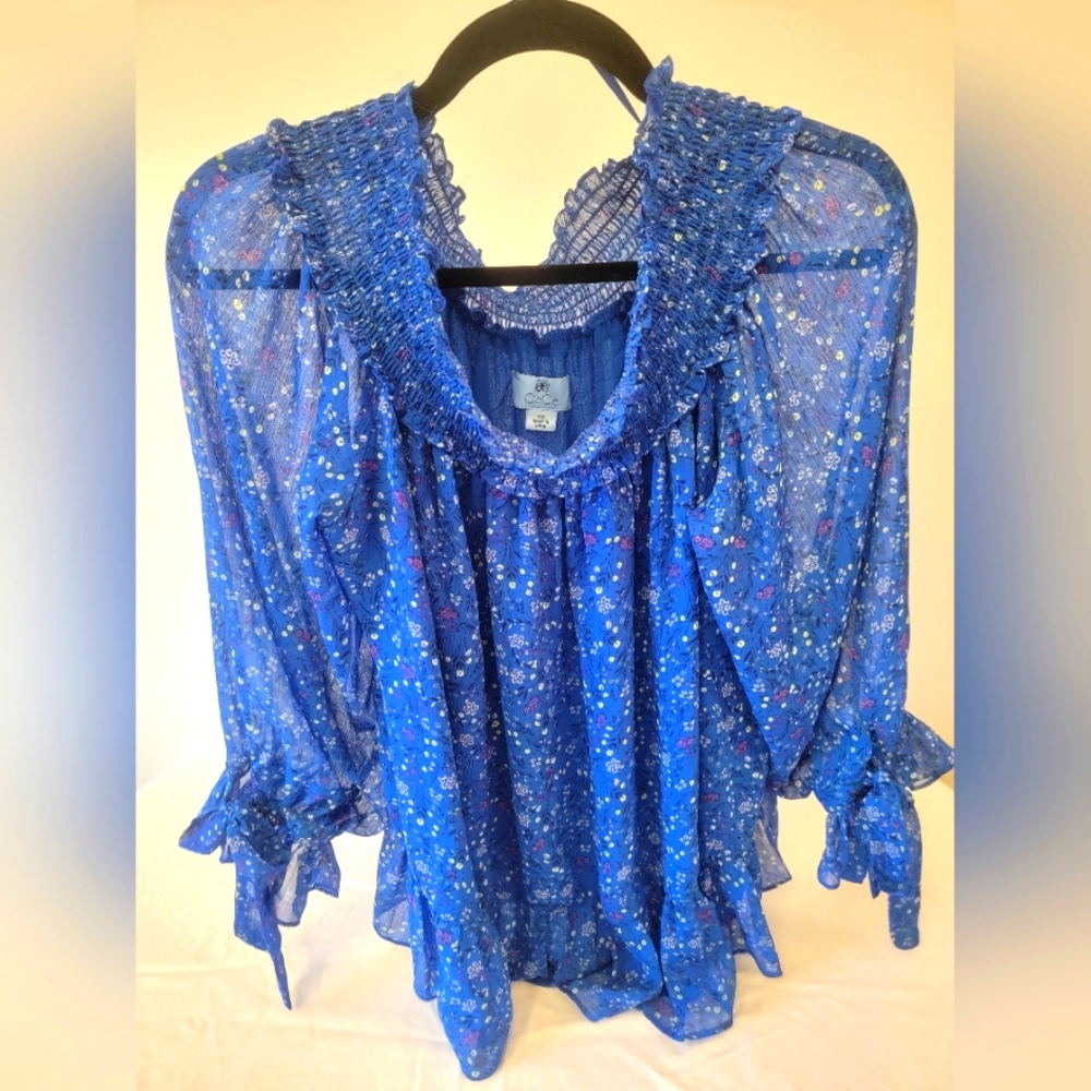 Sheer, lined, Off-Shoulder CeCe Top